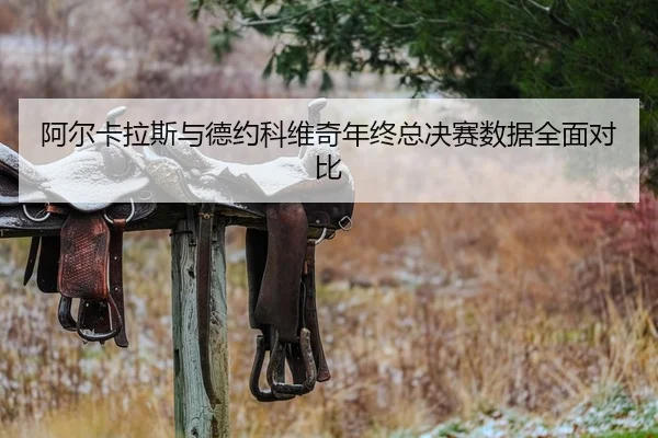 阿尔卡拉斯与德约科维奇年终总决赛数据全面对比