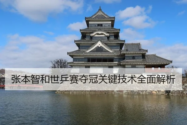 张本智和世乒赛夺冠关键技术全面解析