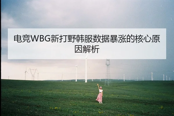 电竞WBG新打野韩服数据暴涨的核心原因解析