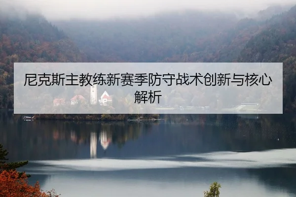 尼克斯主教练新赛季防守战术创新与核心解析