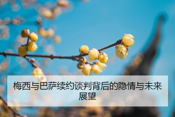 mei-xi-yu-ba-sa-xu-yue-tan-pan-bei-hou-de-yin-qing-yu-wei-lai-zhan-wang-2-276.jpg