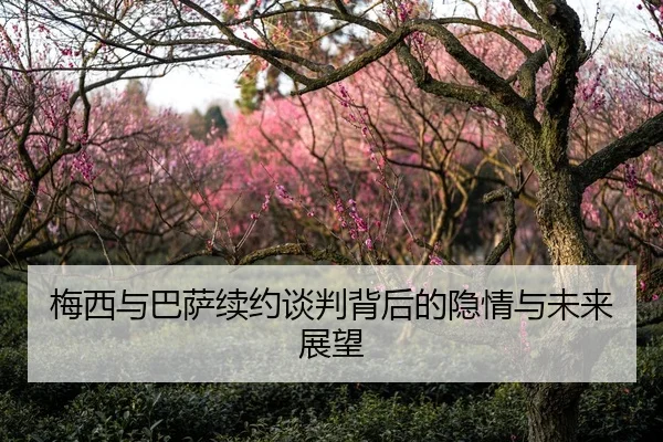 梅西与巴萨续约谈判背后的隐情与未来展望